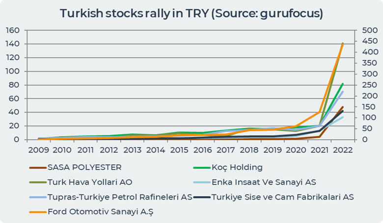 Turkish stocks rally in TRY